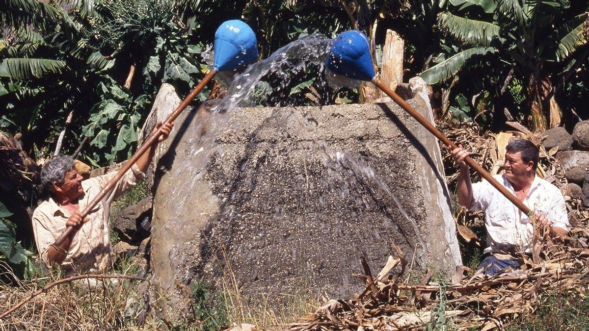 Imagen de archivo de Antonio Celestino durante una exhibición de juego del calabazo.