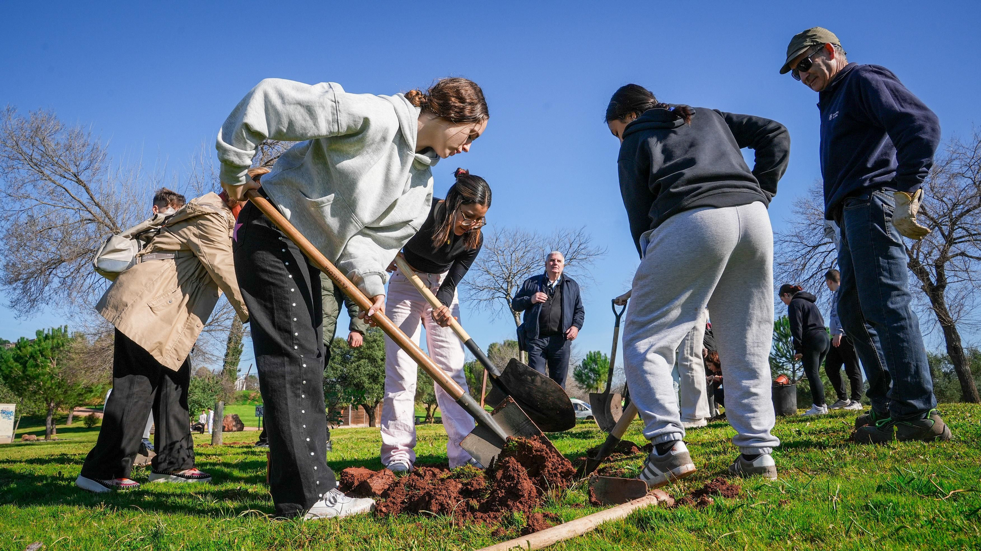 Primera plantación de EnArbolando Córdoba en La Asomadilla