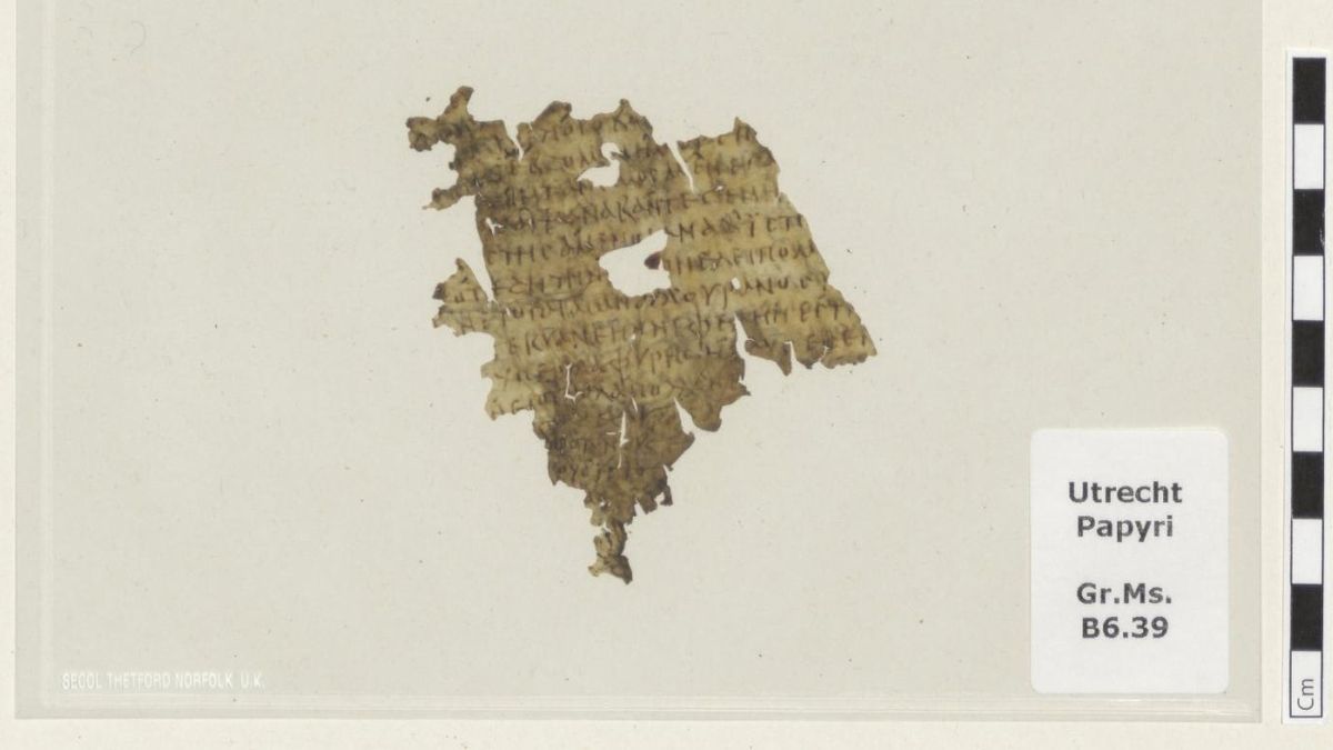 Encuentran un fragmento de la 'Odisea' de hace 1.700 años en una biblioteca de Países Bajos