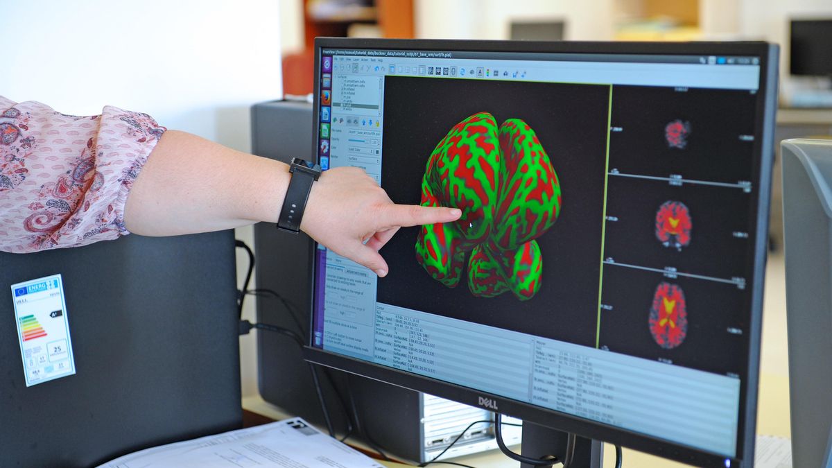 El IDIVAL estrena nuevo portal de investigación para visibilizar la actividad investigadora de Cantabria.