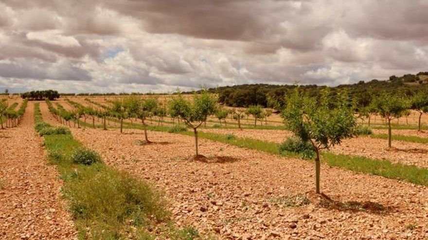 ASAJA Castilla-La Mancha pide una reunión urgente a Agricultura para buscar soluciones a la agricultura ecológica