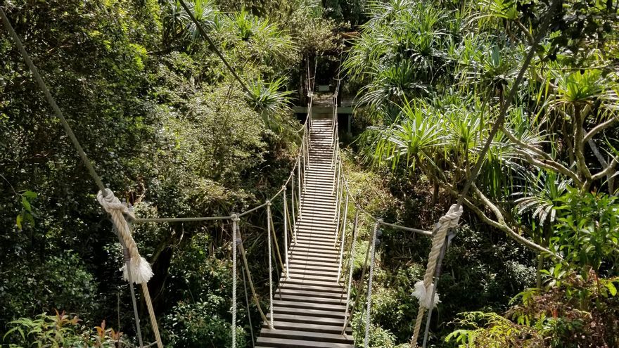 El exceso de credulidad hacia respuestas generadas por IA ha convertido errores técnicos en experiencias frustrantes