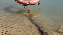 El mejillón cebra y el cangrejo rojo avanzan en su invasión y colonizan un embalse estrenado hace cuatro años