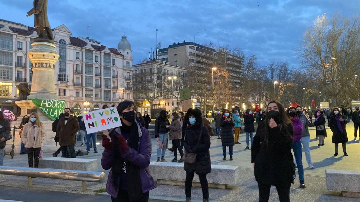 Manifestación del 8M en Valladolid.