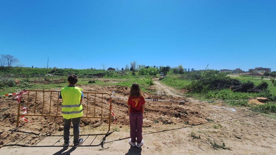 Almeida responde a la sentencia que anula el cantón de Montecarmelo con la tala del árbol emblema de la lucha vecinal