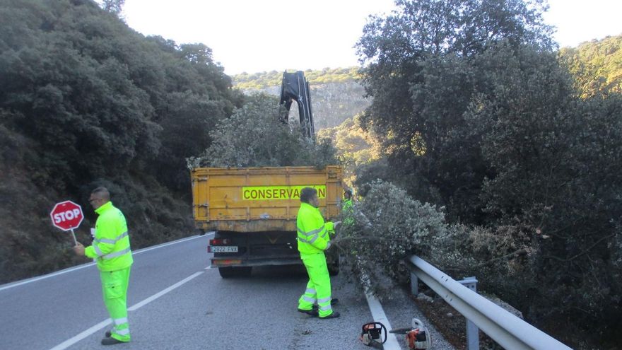Competencia multa con 61,2 millones a doce constructoras por repartirse contratos de conservación y explotación de carreteras