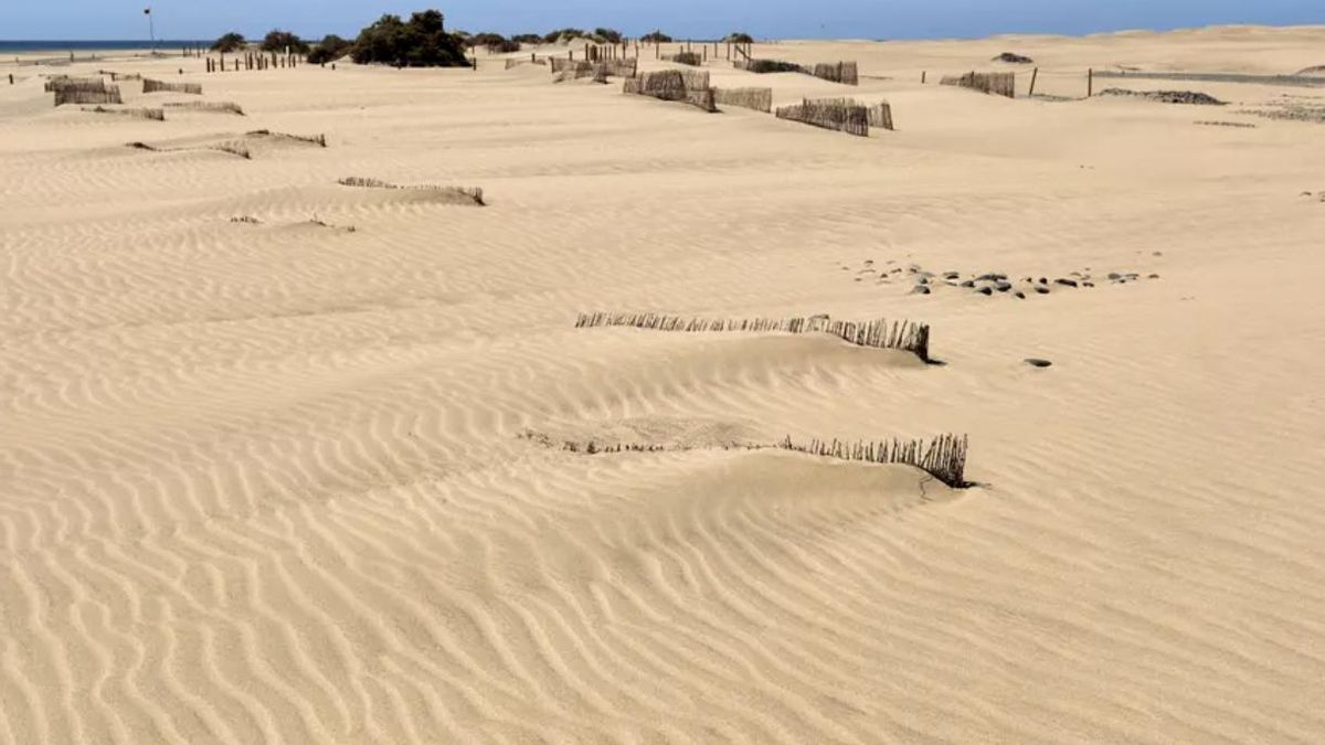 Una veintena de efectivos y un dron vigilan las Dunas de Maspalomas durante la Semana Santa