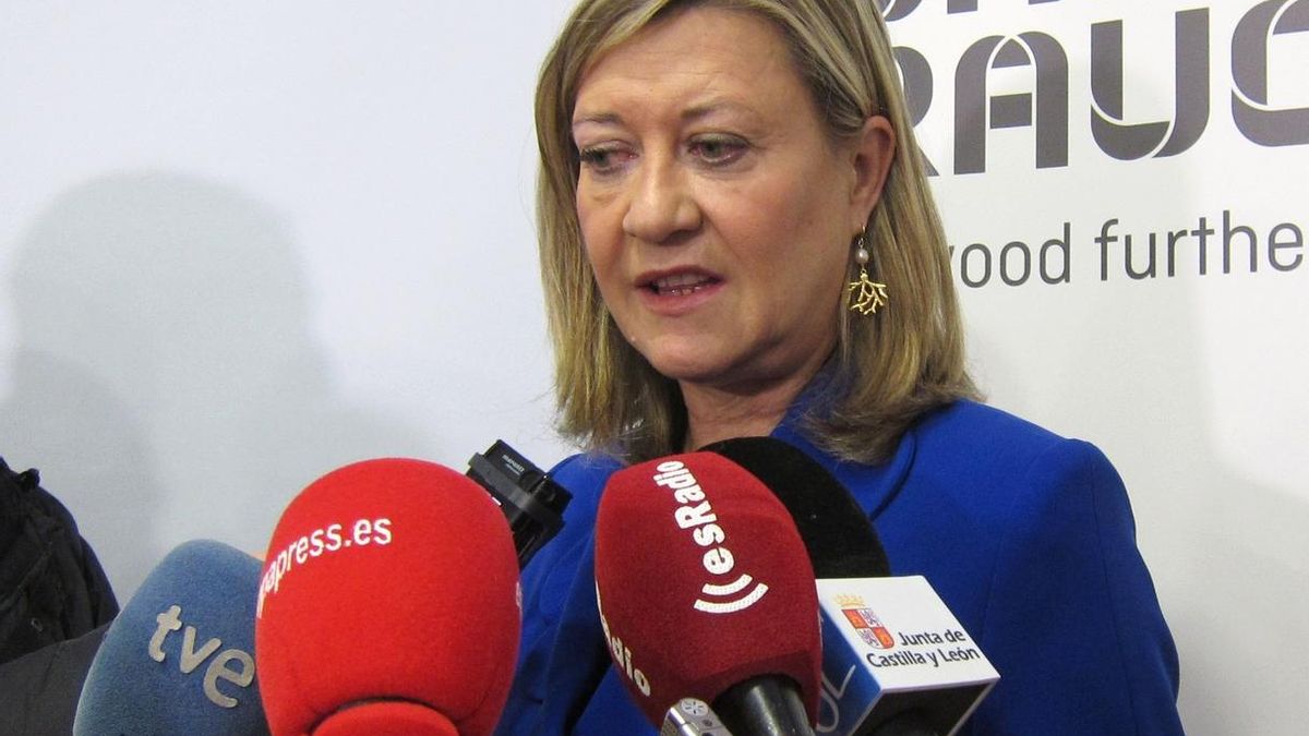 Consejera CyL ve "absurdo" cuestionar a Casado y culparle cuando lleva 9 meses al frente del PP