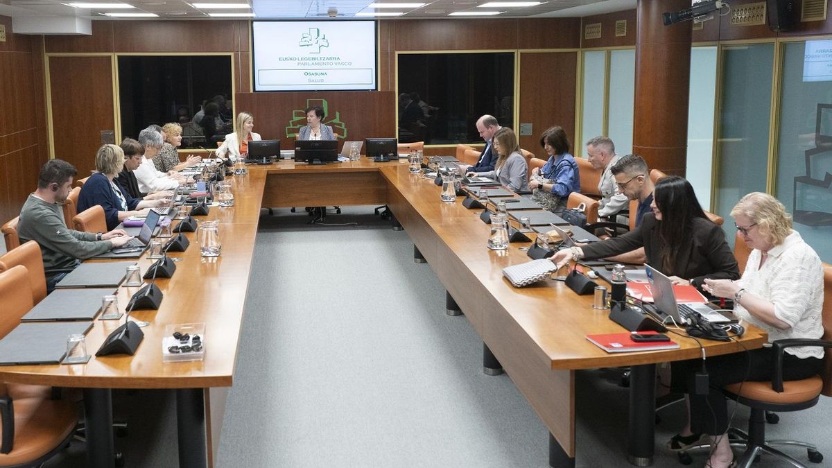 El Parlamento insta a Osakidetza a que active la búsqueda de ubicaciones para el nuevo ambulatorio del sur de Vitoria