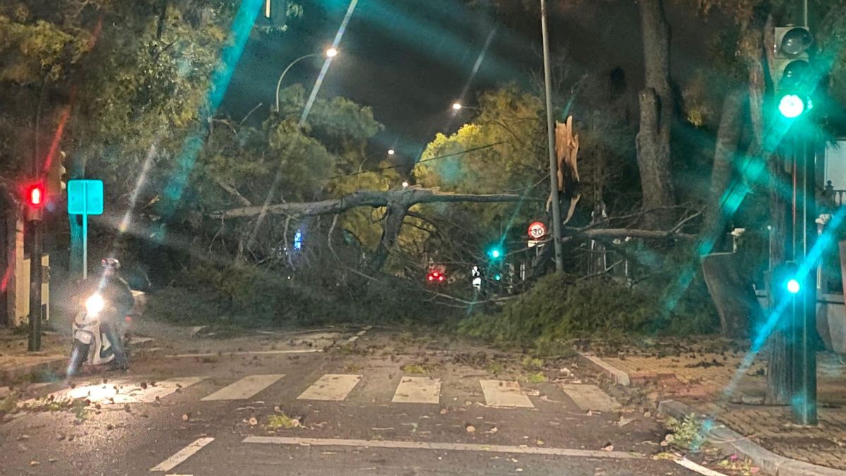 El temporal de viento en Córdoba, en imágenes