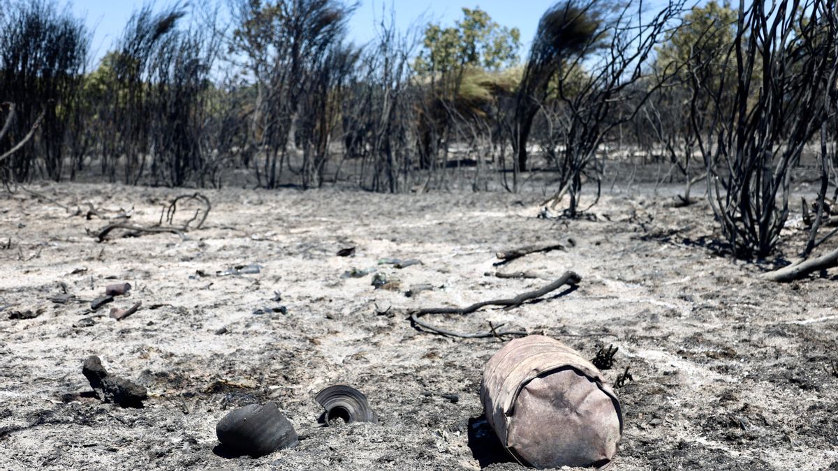 Investigado por provocar con una cosechadora el incendio de Rábano de Aliste, en Zamora
