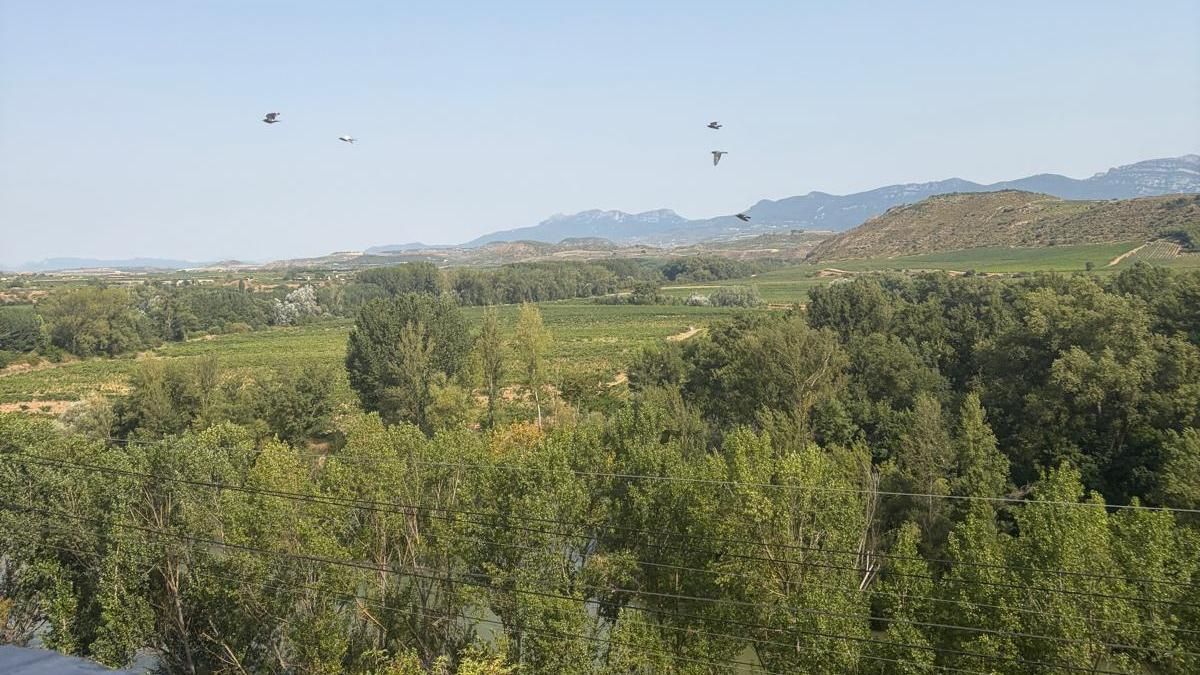 El tiempo en La Rioja el día del eclipse: pocas nubes y hasta 40 grados