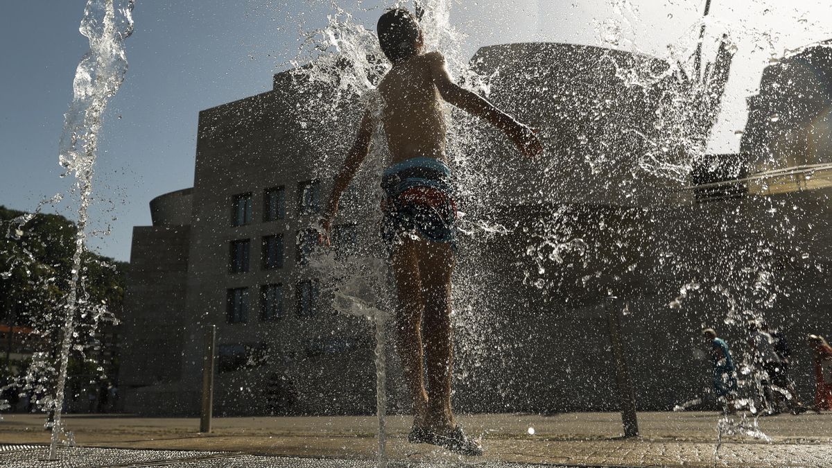 Un calor extremo que no se va: por qué este verano es "un aviso para el futuro"