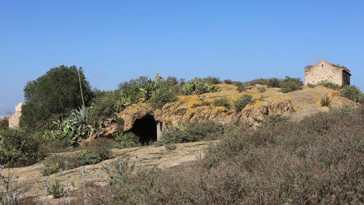Fotogalería | Yacimiento Los Altos de San Gregorio, en Tamaraceite