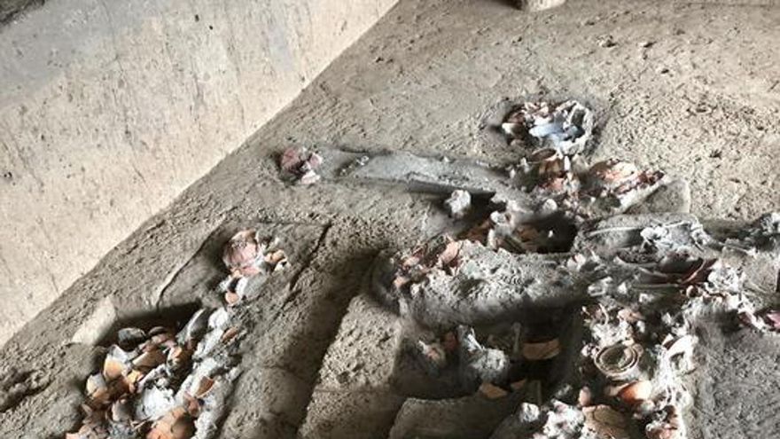 Arqueólogos prueban que los humanos consumían nueces psicoactivas hace 4.000 años