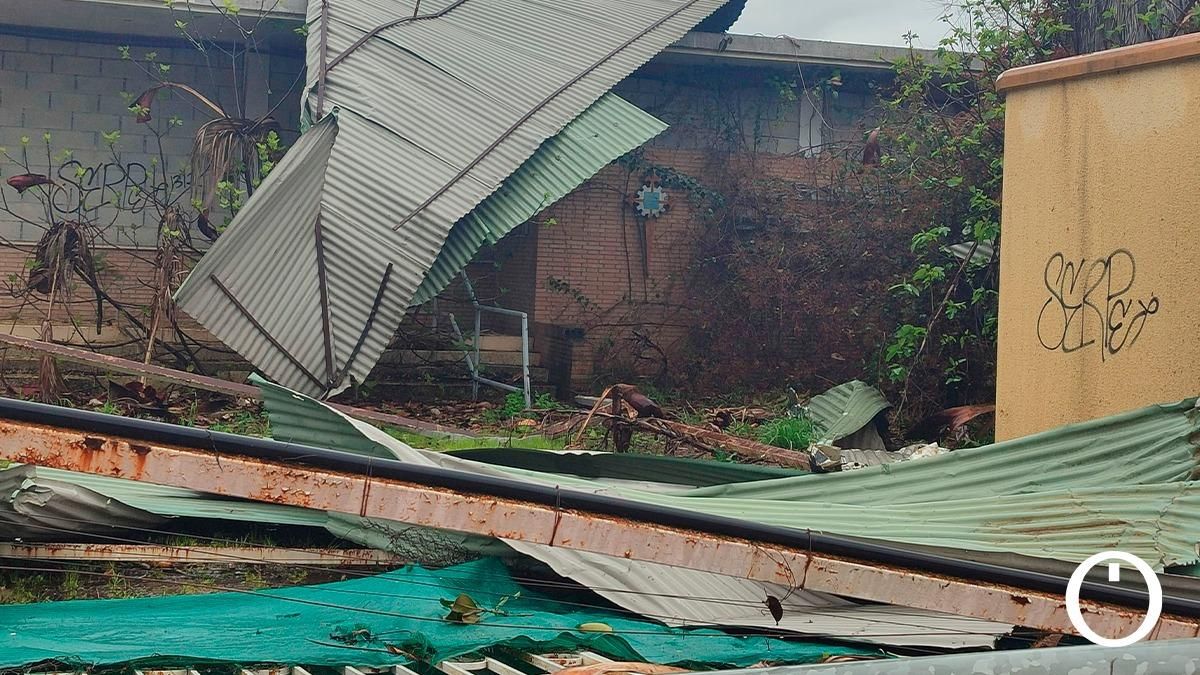 Los efectos del viento y la lluvia en Córdoba