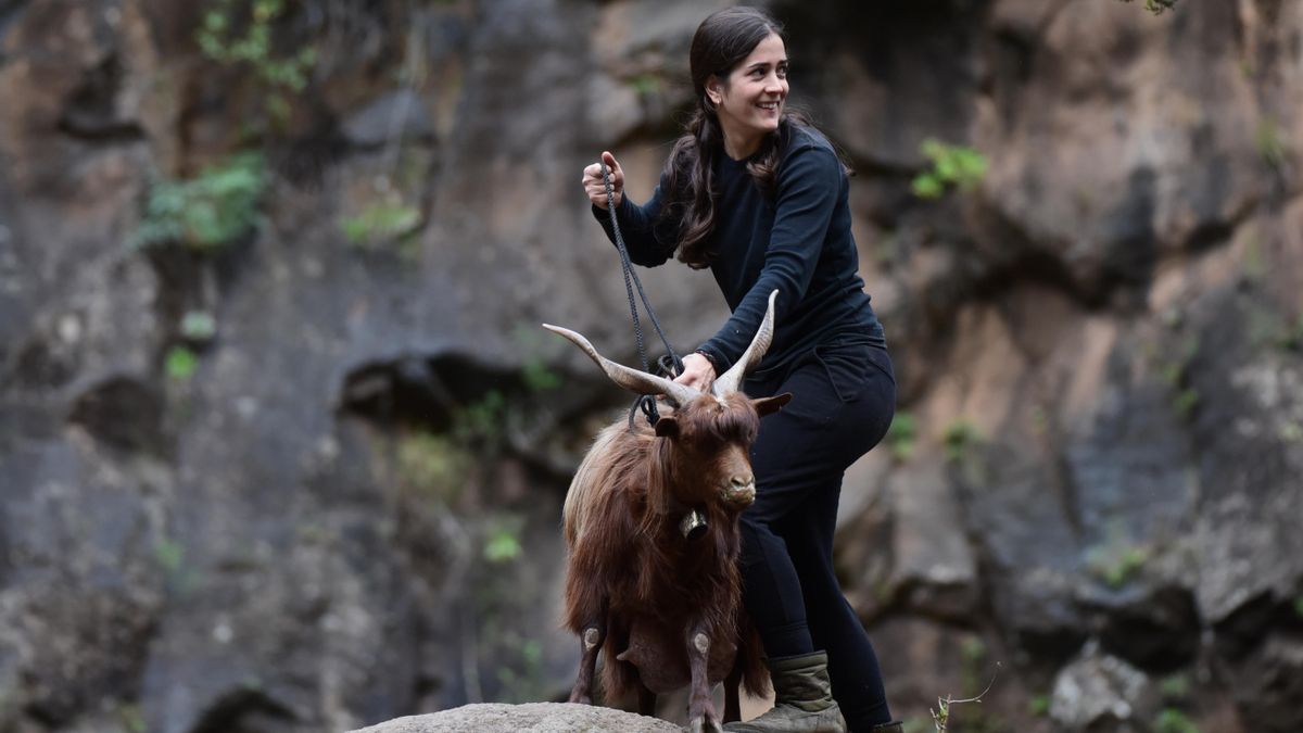 El Cabildo propone a la ganadera Brenda Rodríguez para el Premio Insular 2026 por su defensa del sector primario y la raza palmera