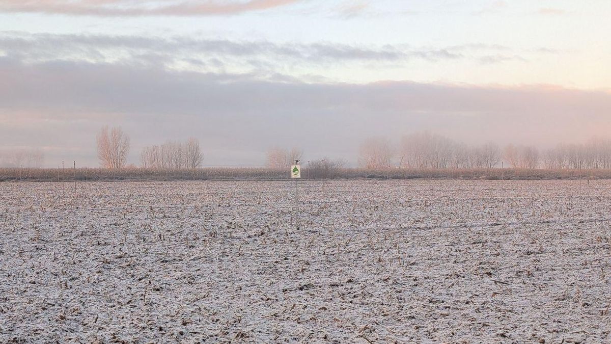 Nieve en el Páramo.
