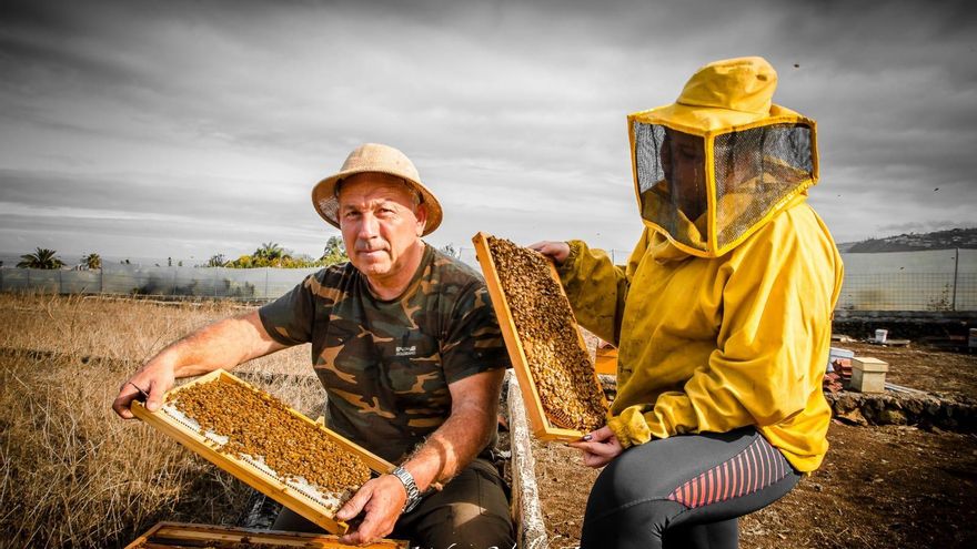 Florencio Gutiérrez, apicultor herreño.