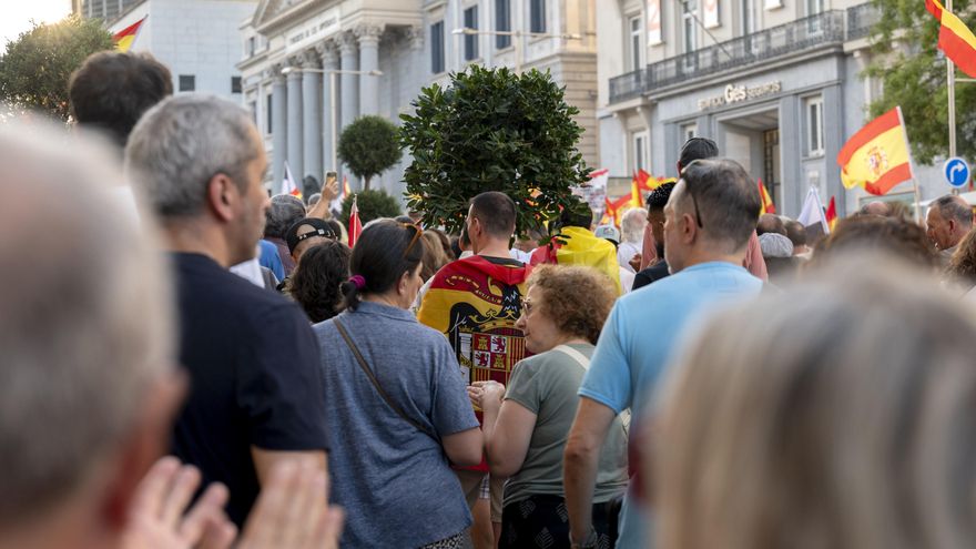 Una persona con la bandera franquista en la protesta frente al Congreso.