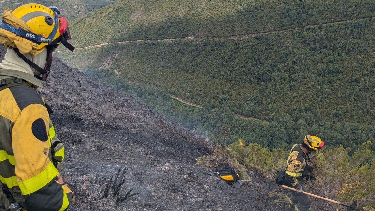 Situación del incendio forestal de Guímara.