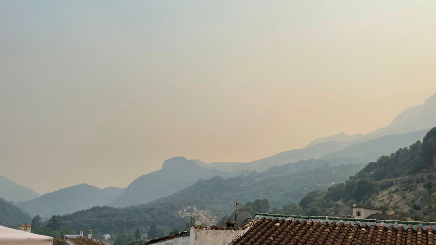Vista de la columna de humo desde Benaoján  | Cedida