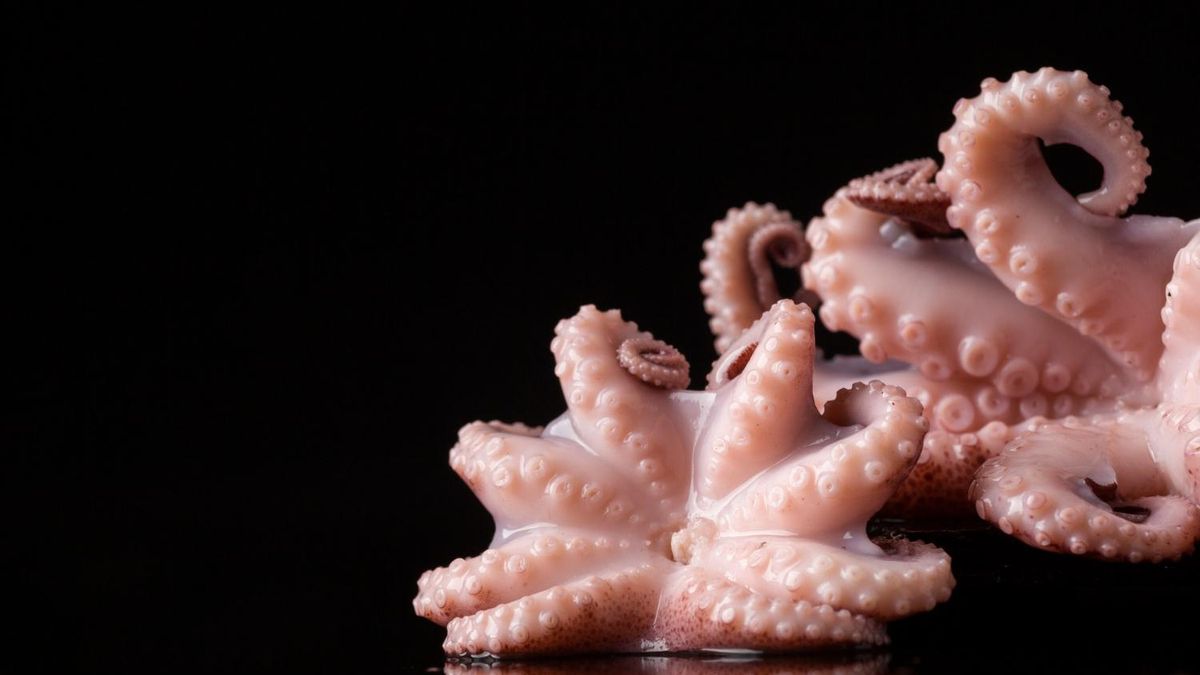 A la gallega, a la brasa o al ajillo: todos los pasos para preparar y cocinar pulpo