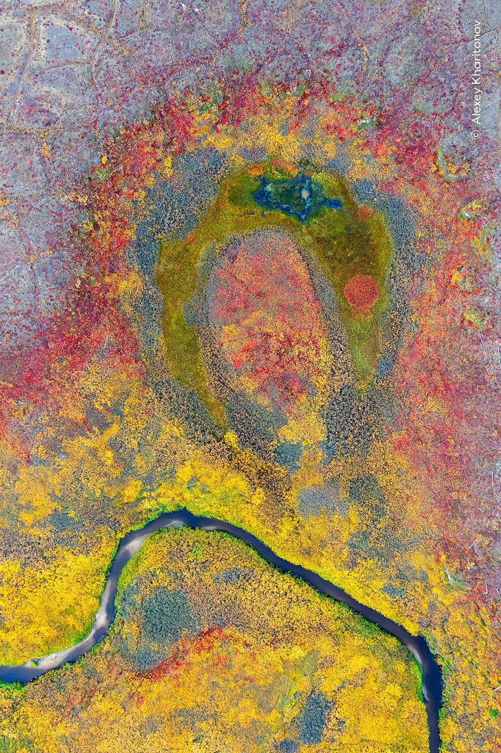 'Icono otoñal' (Visiones del norte), Premio al portfolio