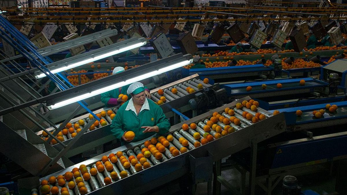 Córdoba bate su récord de exportaciones con 2.508 millones de euros hasta agosto