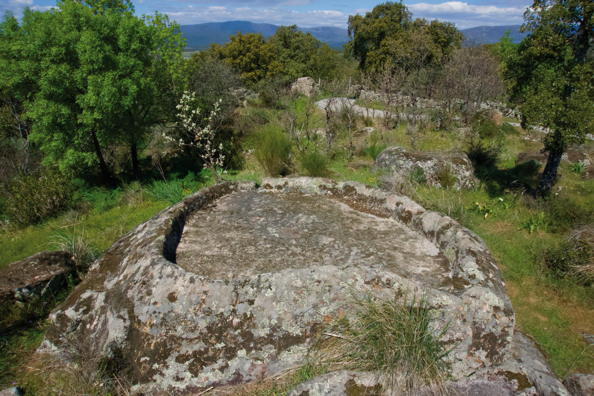 Lagar celta en Casas del Monte