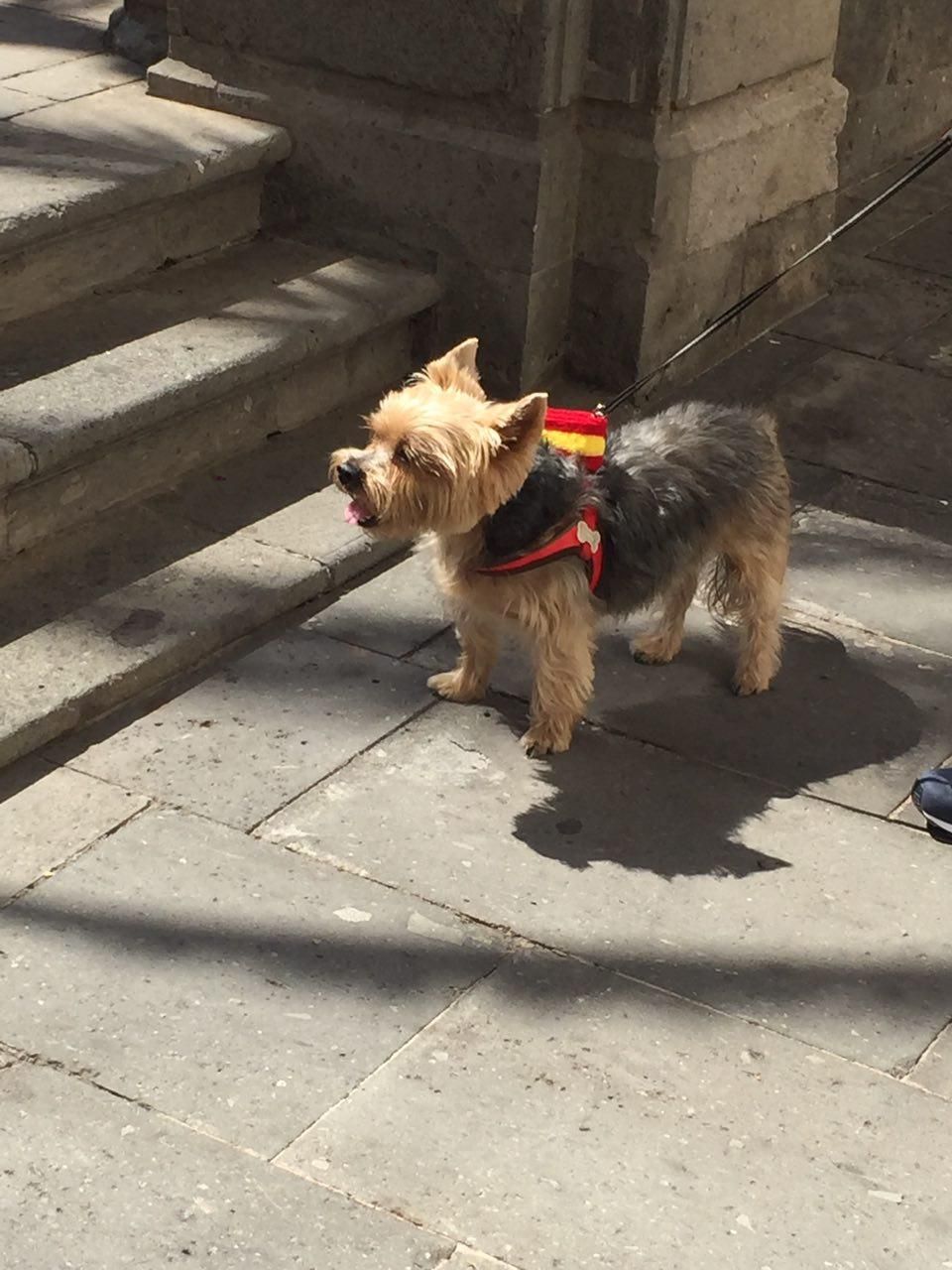 Concentración por la unidad de España