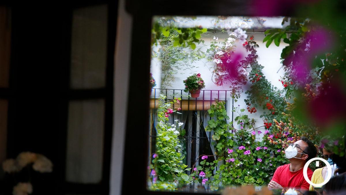 Patio Parras 6 - 2022