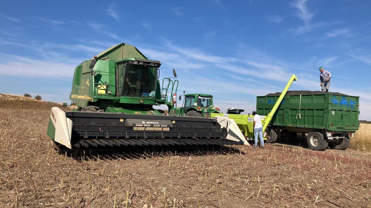 Asaja Castilla-La Mancha pide de nuevo flexibilidad en la normativa de incendios para recoger las cosechas por las mañanas