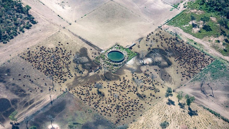 El empresario Eduardo Elsztain y el banco Santander, señalados por la deforestación de miles de hectáreas de bosque en Salta