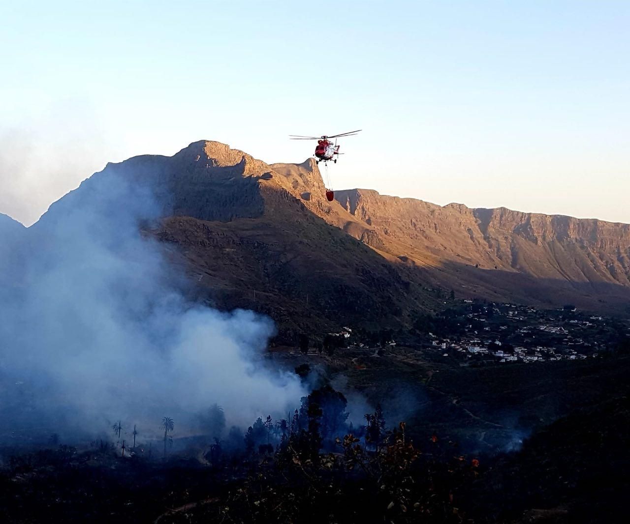 El fuego calcina 35 hectáreas de palmeral en Fataga