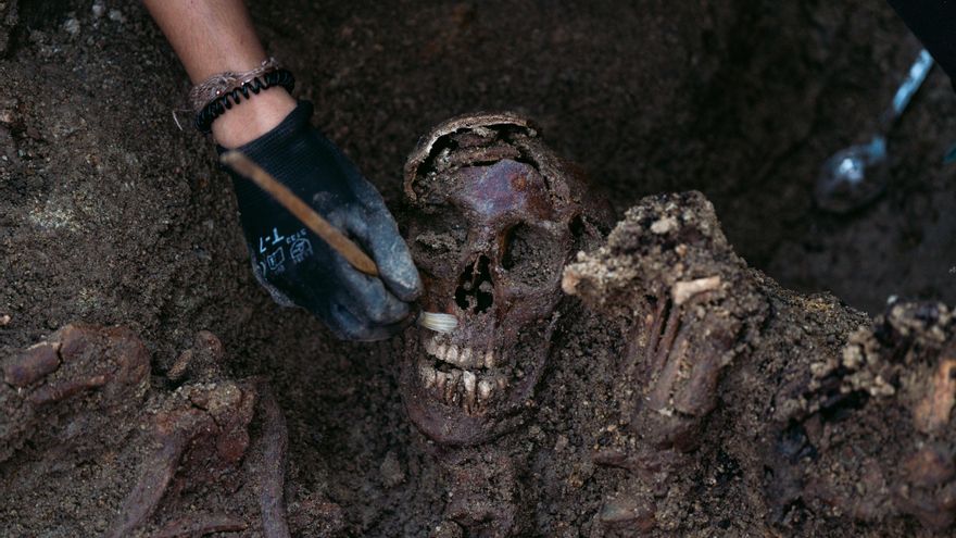 Año y medio esperando fondos para culminar la mayor exhumación de fusilados por Franco en Madrid