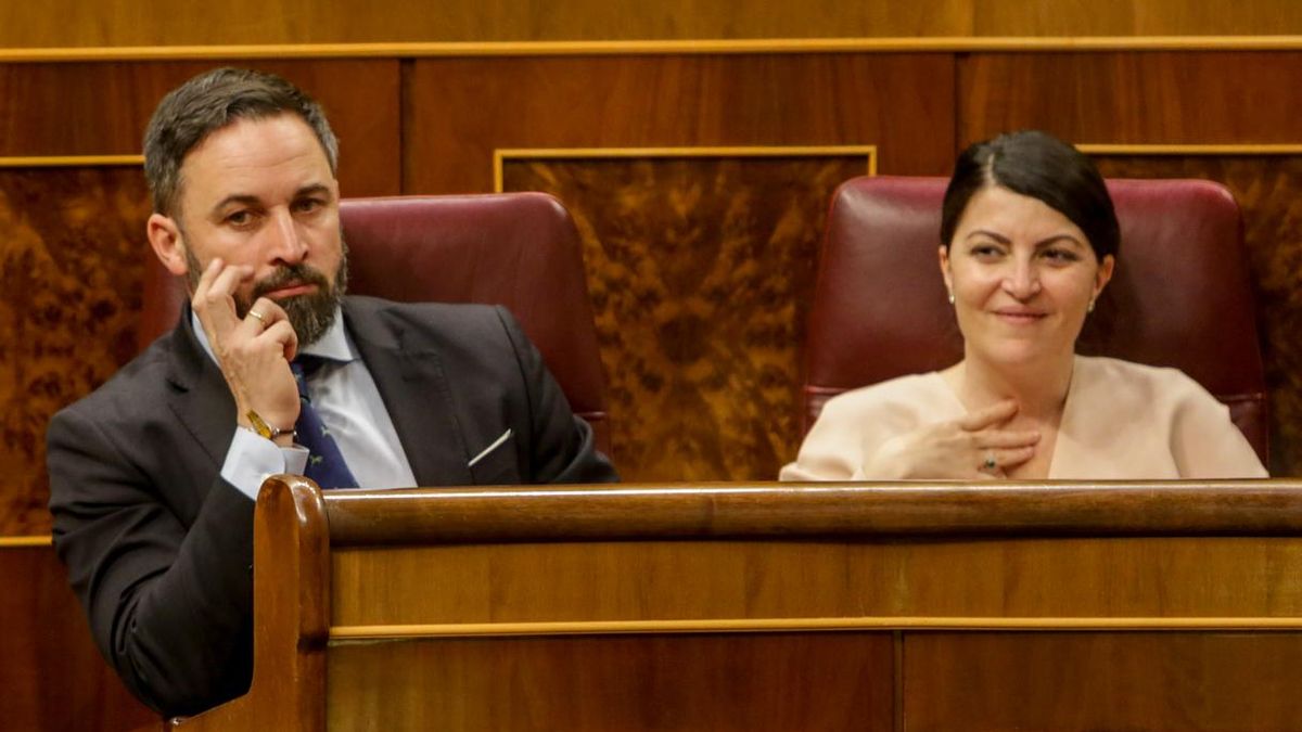 Vox anuncia que recurrirá ante el Tribunal Constitucional la suspensión de plazos aprobada por el Congreso