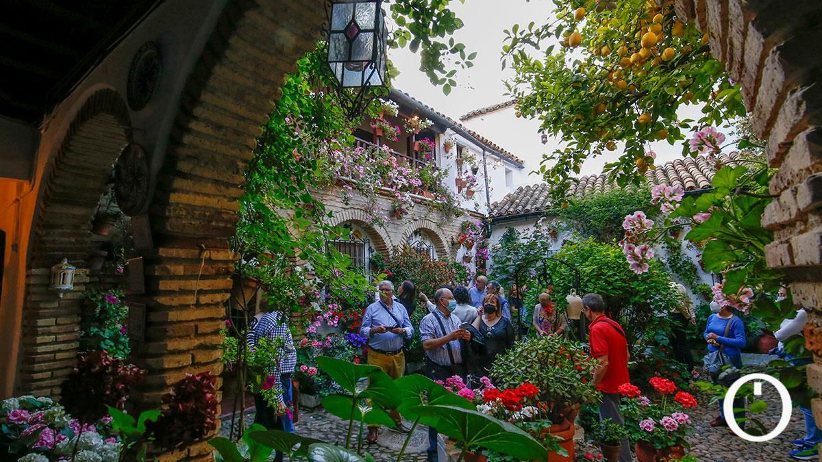 Patio Parras 6 - 2022