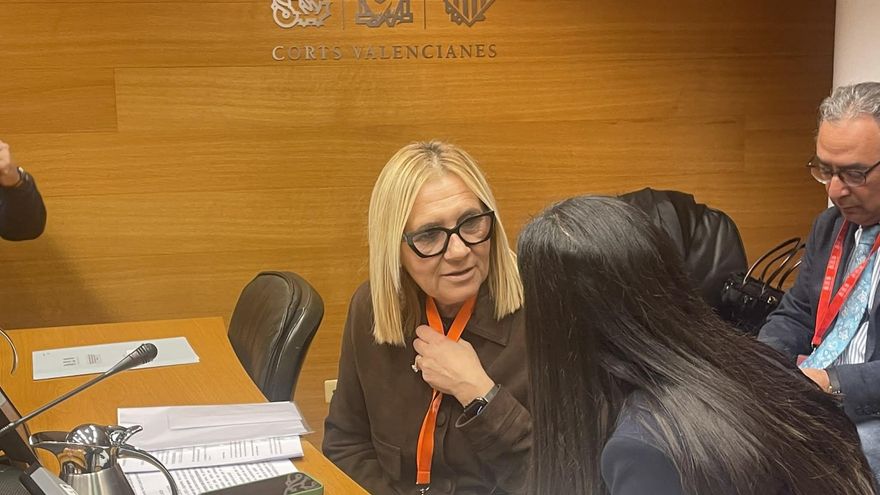 Liberum lleva su 'conspiranoia' a la comisión de la dana en las Corts y reconoce que no representa a víctimas