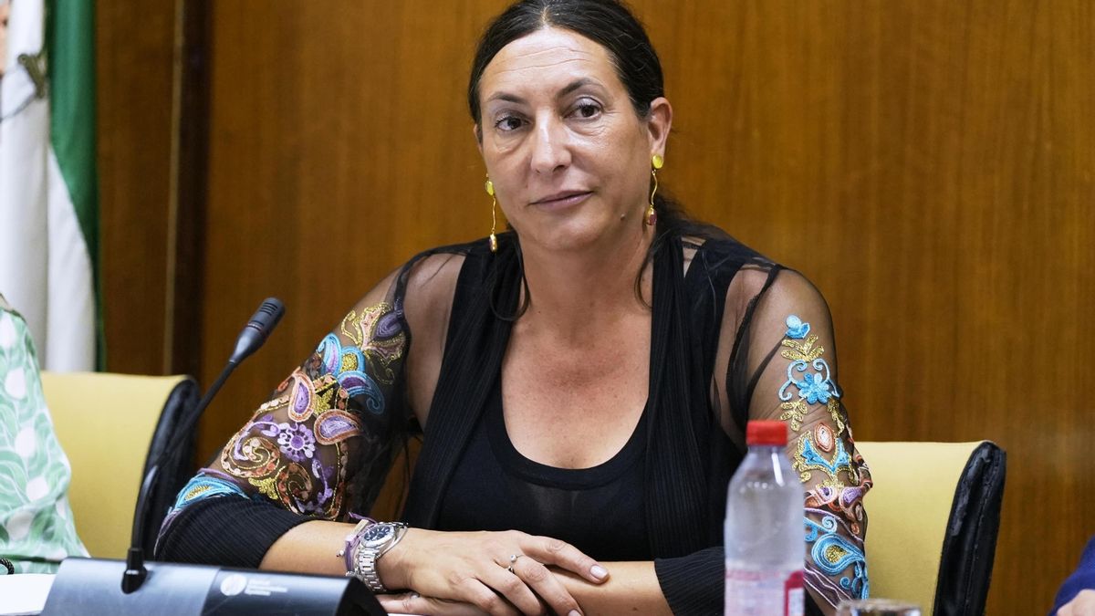 La consejera de Inclusión Social, Loles López, este miércoles durante su comparecencia extraordinaria en comisión.