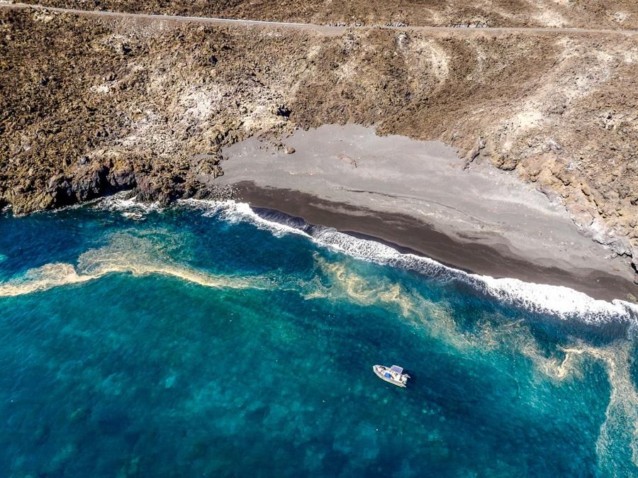 La Plataforma Oceánica de Canarias ha presentado los avances del proyecto Delta, centrado en estudiar la recuperación de los ecosistemas marinos en las fajanas creadas por la lava en la costa de La Palma.