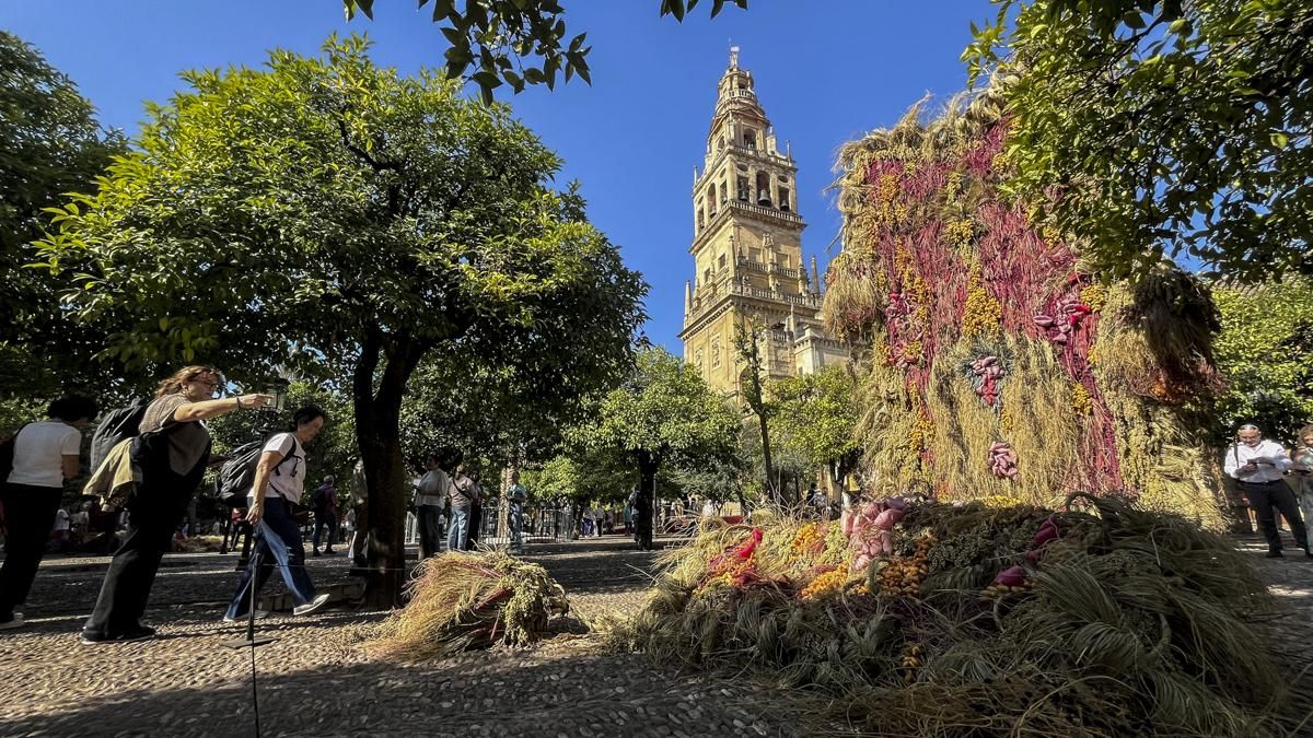 Flora 2025 - 'Tramas pasadas, calma futura' (Patio de los Naranjos)