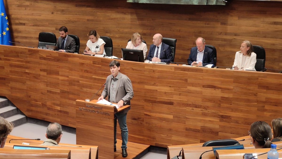 El consejero de Ciencia, Industria y Empleo de Asturias, Borja Sánchez, durante su intervención este jueves en el parlamento asturiano.