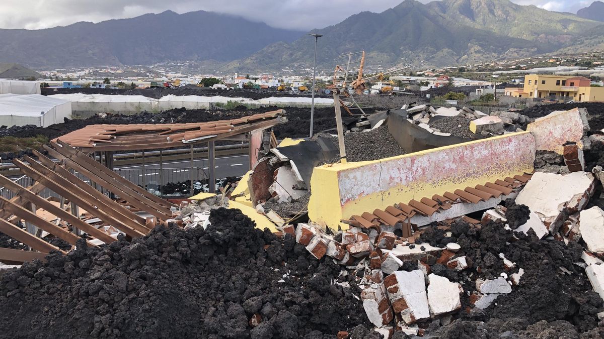 Un volcán, cinco años después: ¿en qué ha cambiado la vida de los palmeros?