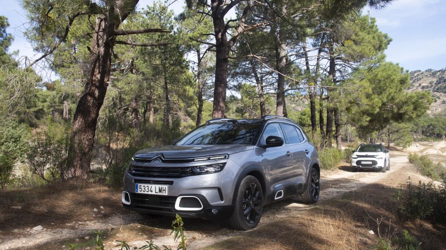 Las versiones con Grip Control cuentan con cinco modos de conducción según sea el tipo de firme por el que se circula.