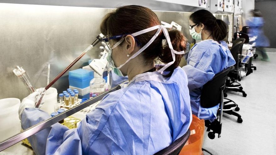 Investigadores En Laboratorio. Ciencia, Análisis, Investigación