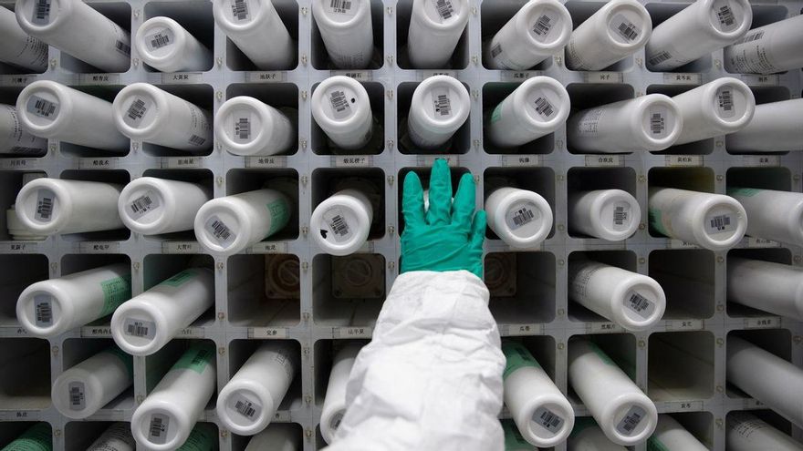 La pandemia que cambió la ciencia: la colaboración global y las nuevas vacunas abren una era de descubrimientos