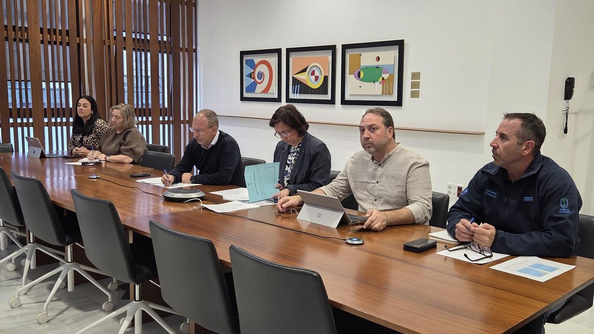 Reunión del Comité Asesor del Plan de Emergencias Insular (Peinpal)  celebrada este martes.