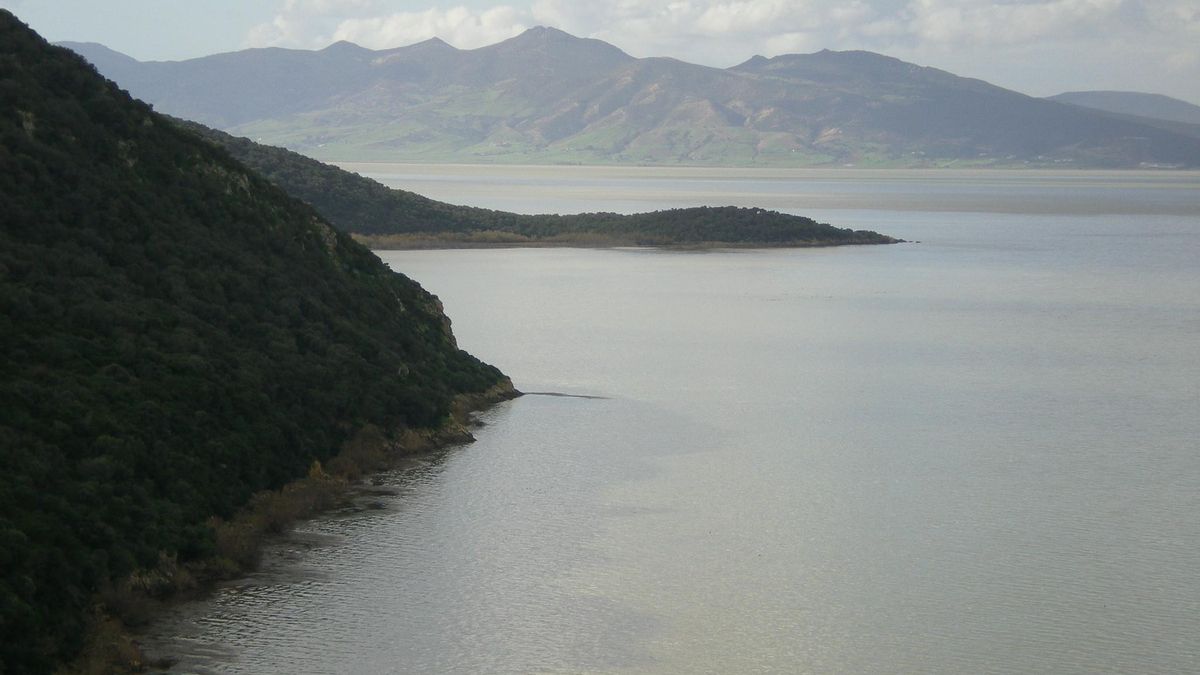 Picos junto al Lago Ichkeul. Este es uno de los humedales más importantes del África Sahariana.