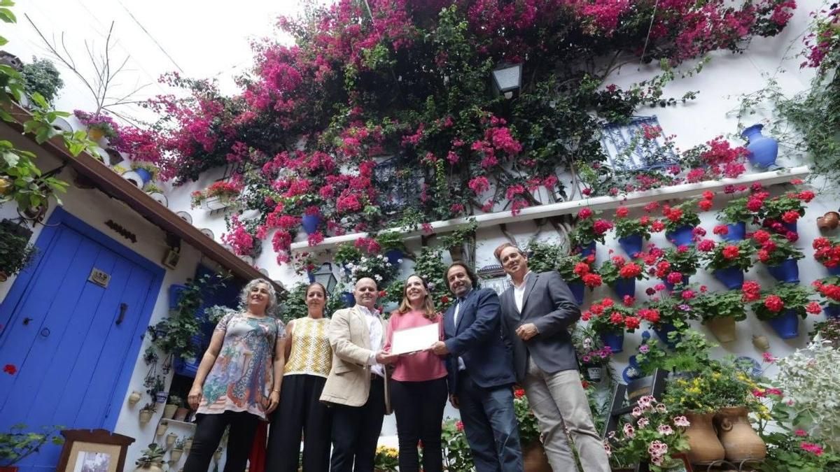 La buganvilla de Guzmanas 7, premio a la Planta Singular de los Patios 2026.